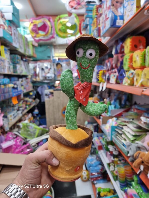 الصبارة الراقصة