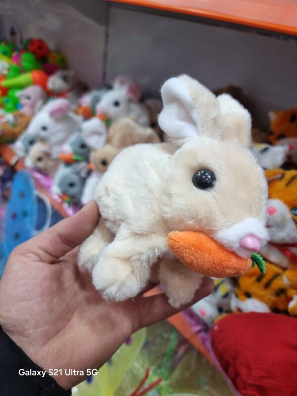 ارنب المشاكس😁